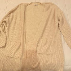 American Eagle Cardigan